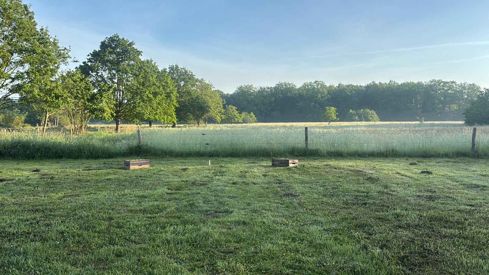 Weiland met ochtendmist rondom de hoeve