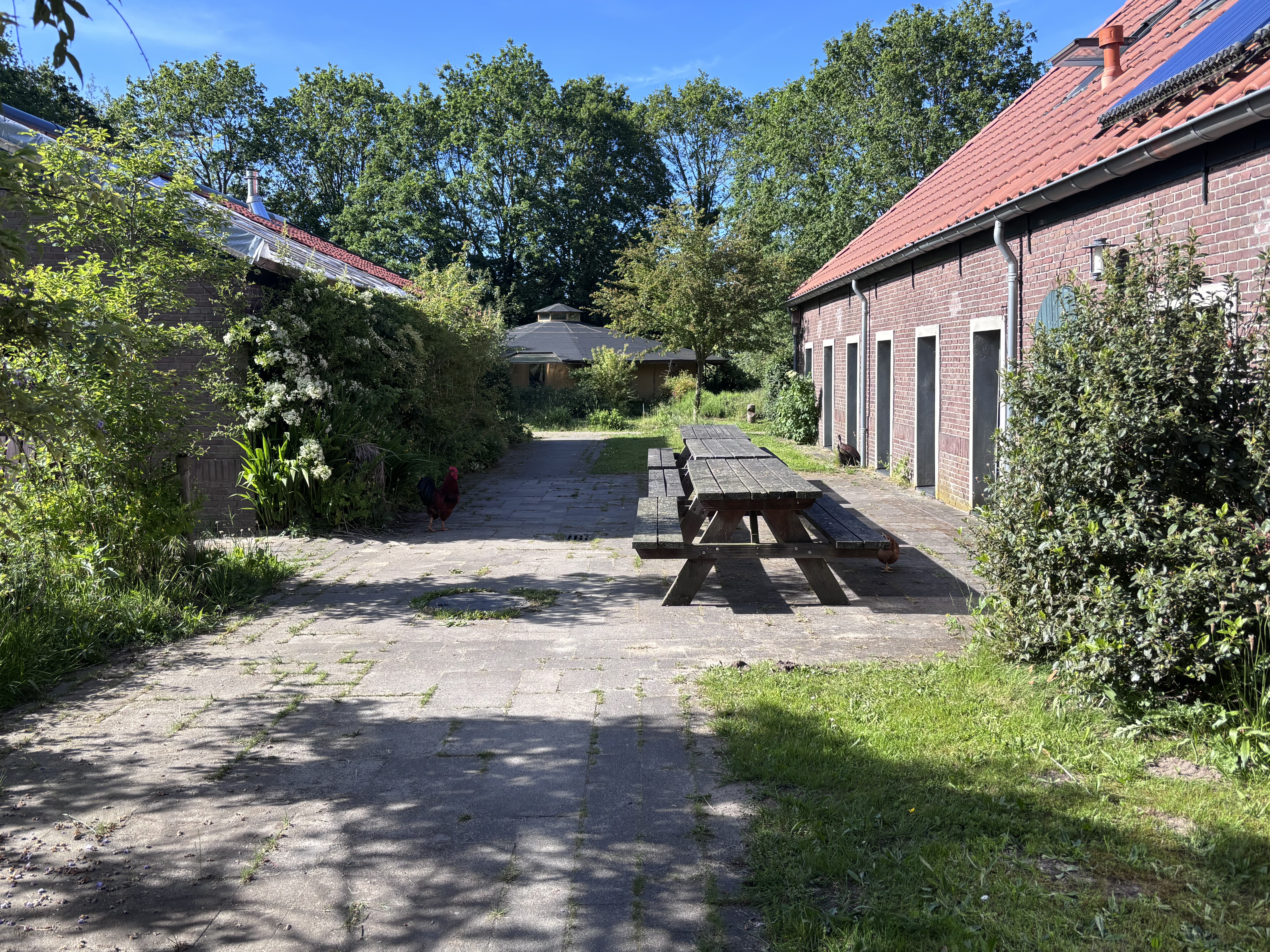 Binnenplaats met picknicktafel en de schuren van de hoeve